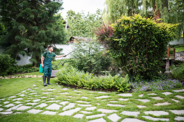Best Pest Inspection Near Me  in Headland, AL
