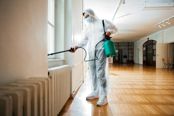Best Local Pest Control Services  in Headland, AL