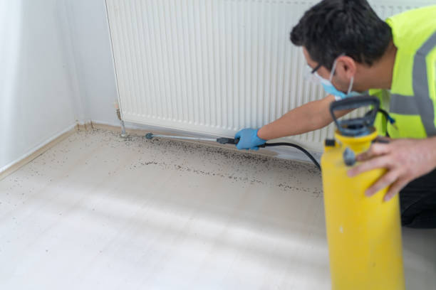 Best Pest Removal Services  in Headland, AL