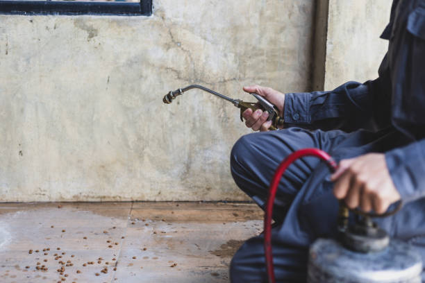 Best Mosquito Control Services  in Headland, AL
